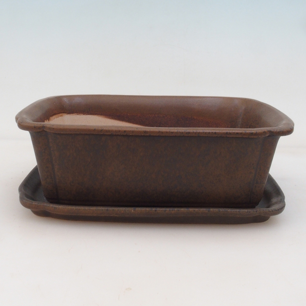 Bonsai kom + schotel H50 - bruin