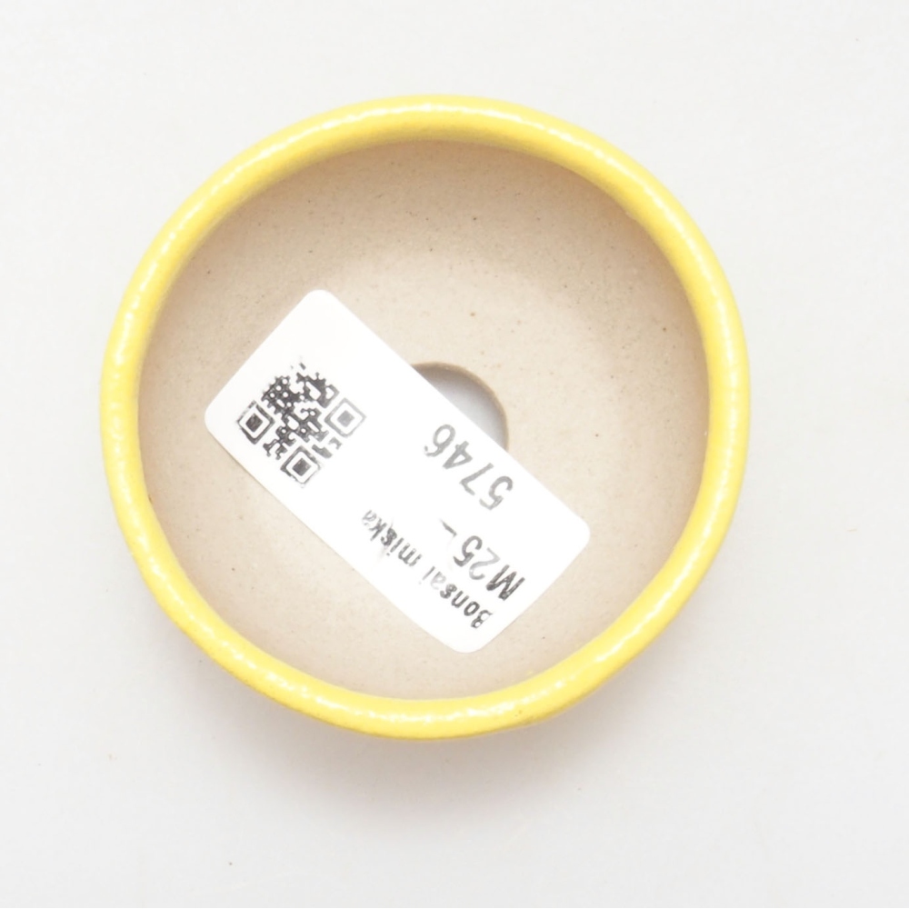 Bonsaischaal van keramiek 6 x 6 x 2,5 cm, geel