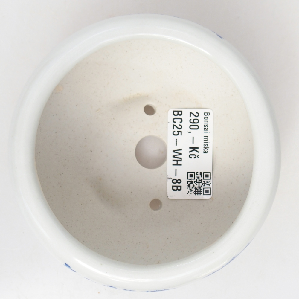 Bonsaischaal van keramiek 10 x 10 x 5 cm, kleur wit