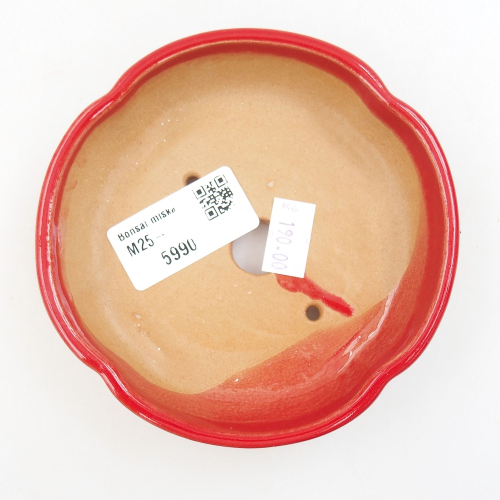 Bonsaischaal van keramiek 22 x 17 x 5 cm, groen