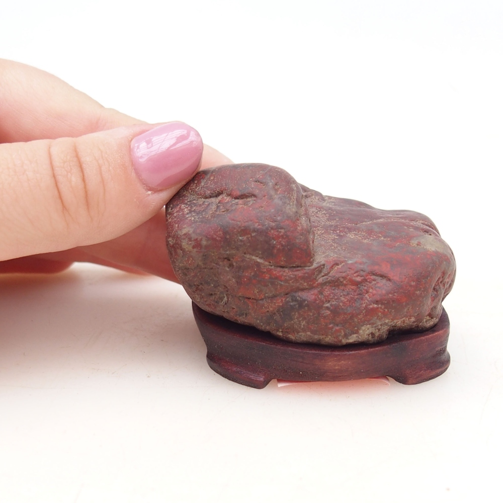 Suiseki - Steen met DAI (houten basis)