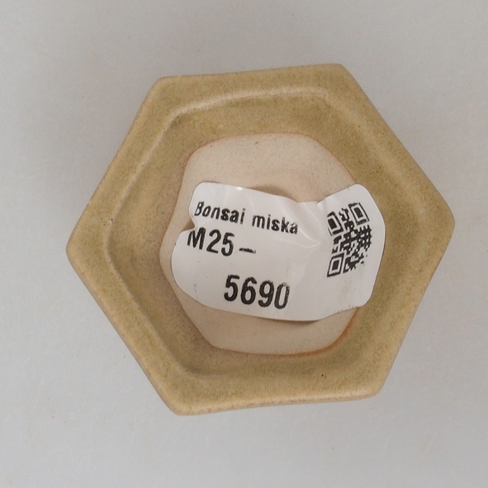 Mini bonsaischaal 4,5 x 4,5 x 2,5 cm, bruin