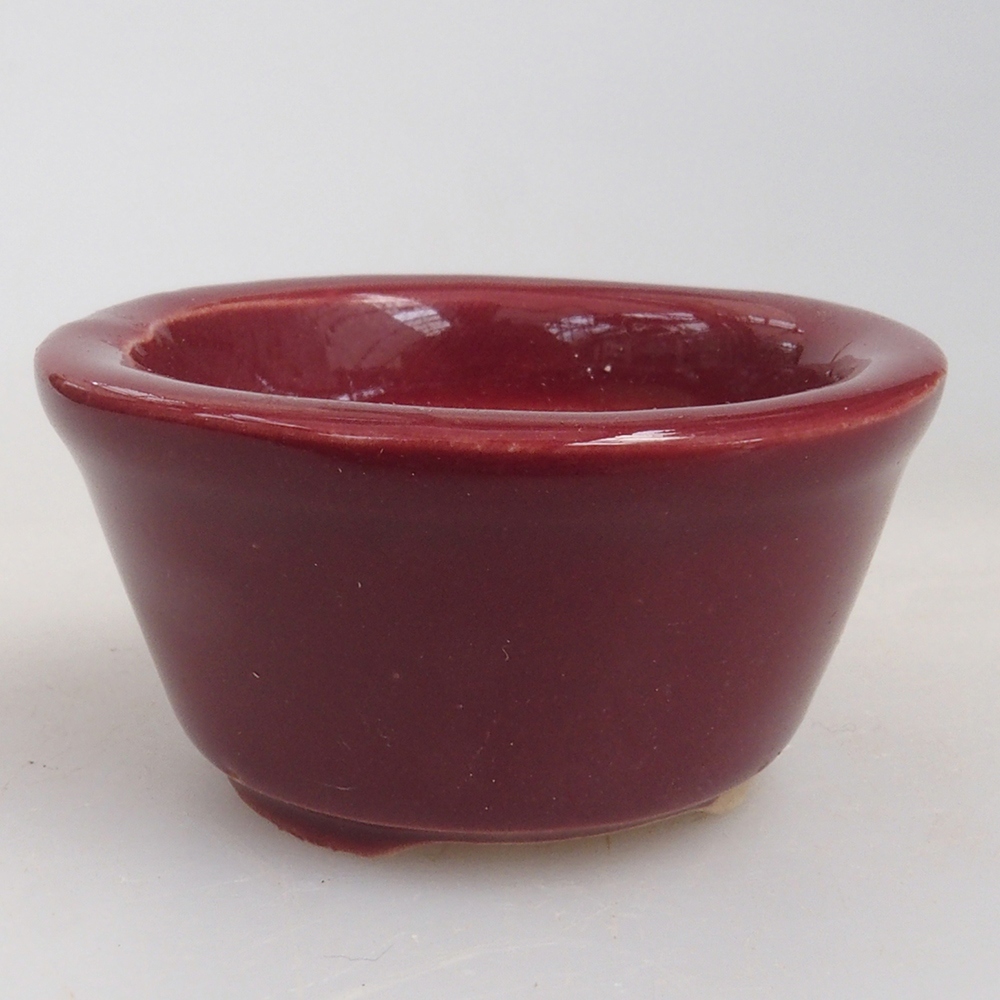 Mini bonsaischaal 4 x 4 x 2 cm, bordeauxrood
