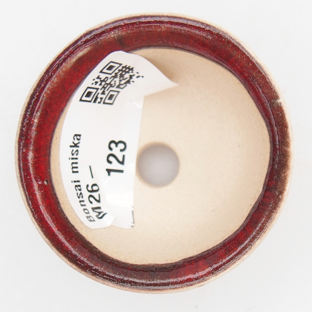 Mini bonsaischaal 5 x 5 x 3 cm, kleur rood