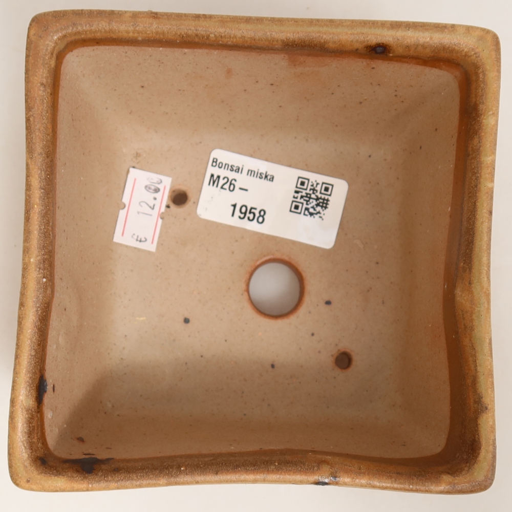 Keramische bonsaipot 10,5 x 10,5 x 6,5 cm, kleur: beige