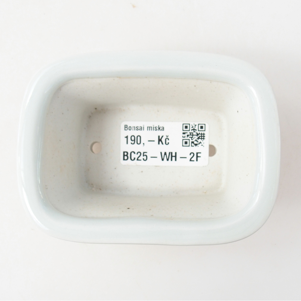 Mini bonsaischaal 10 x 7,5 x 4 cm, kleur wit
