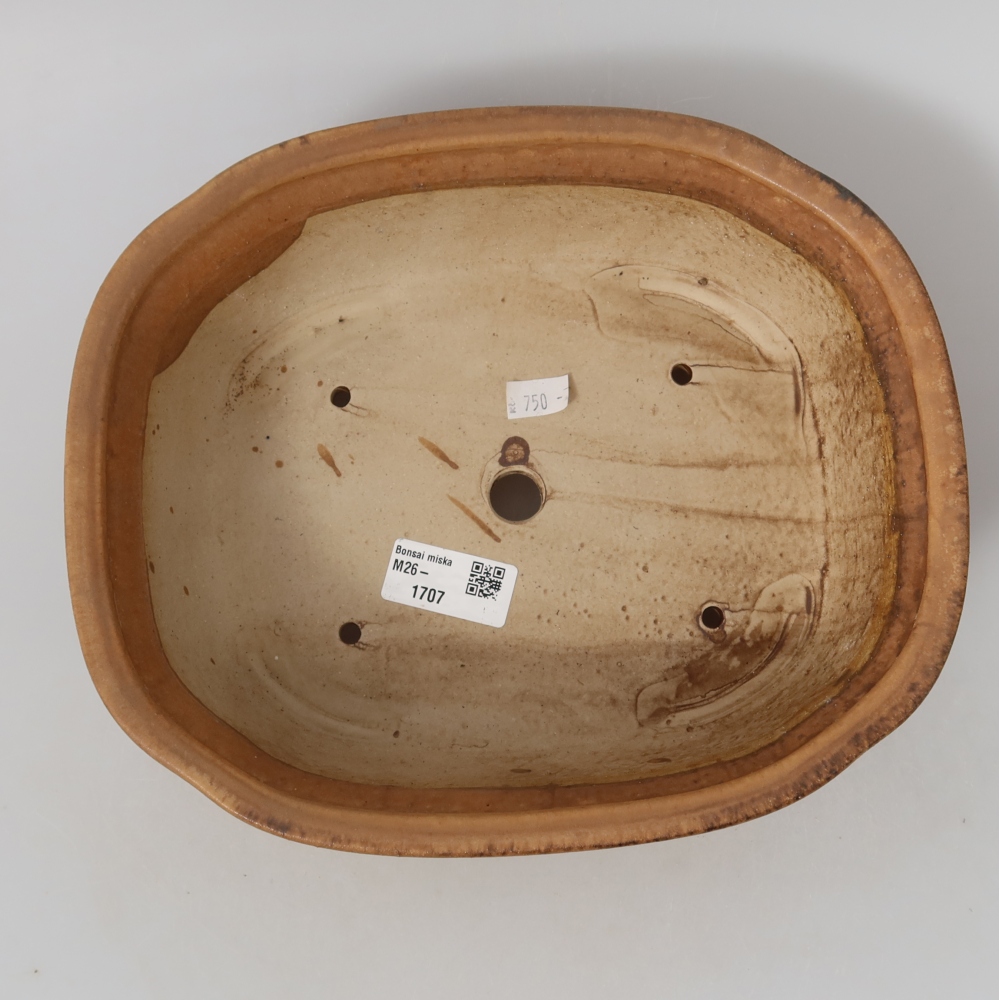 Keramische bonsaipot 25 x 21,5 x 7,5 cm, kleur: roze
