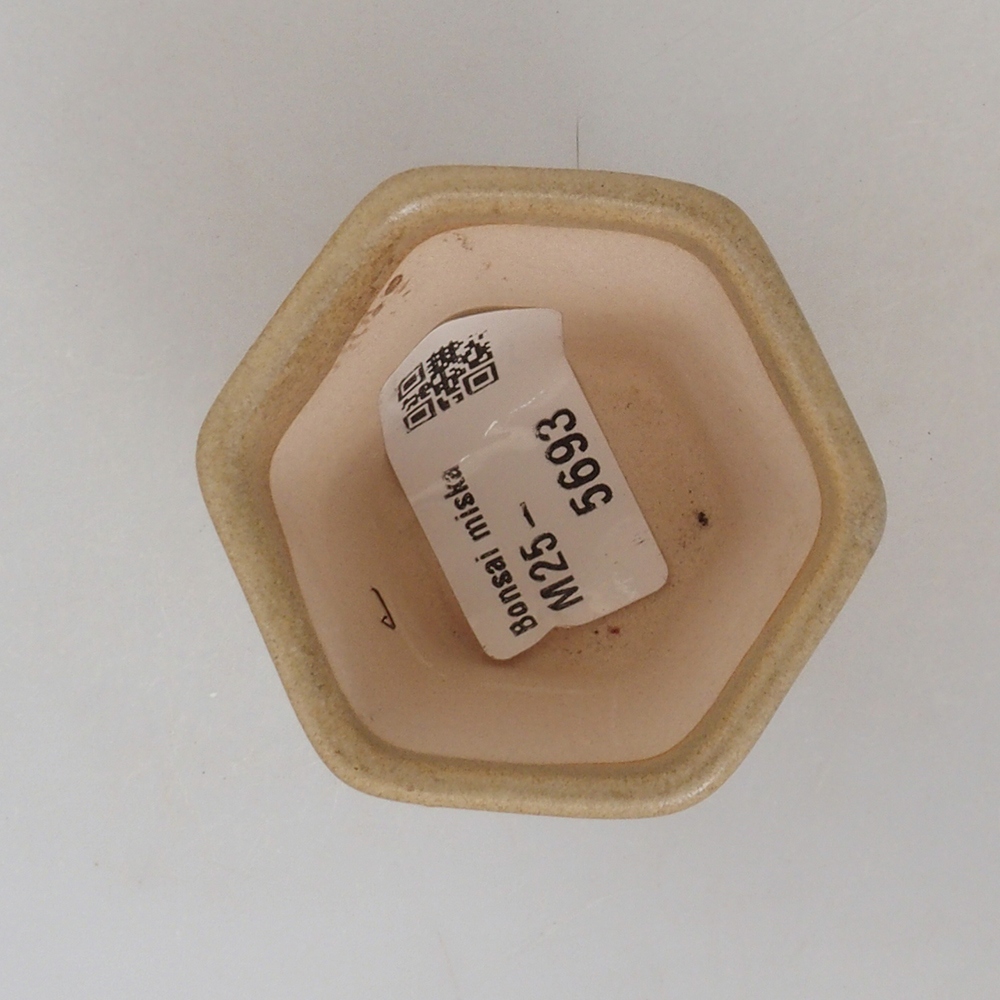 Mini bonsaischaal 5 x 5 x 5 cm, bruin