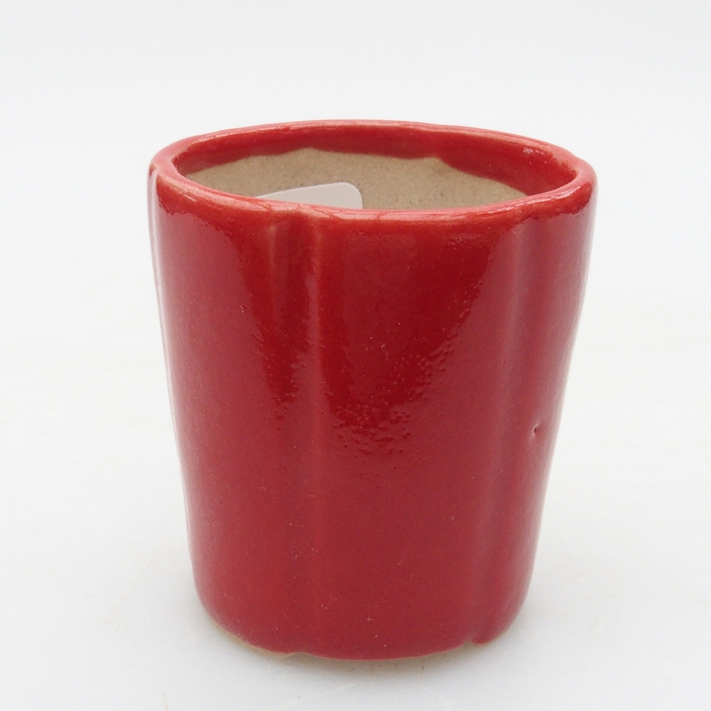 Mini bonsaischaal 4 x 4 x 4 cm, kleur rood
