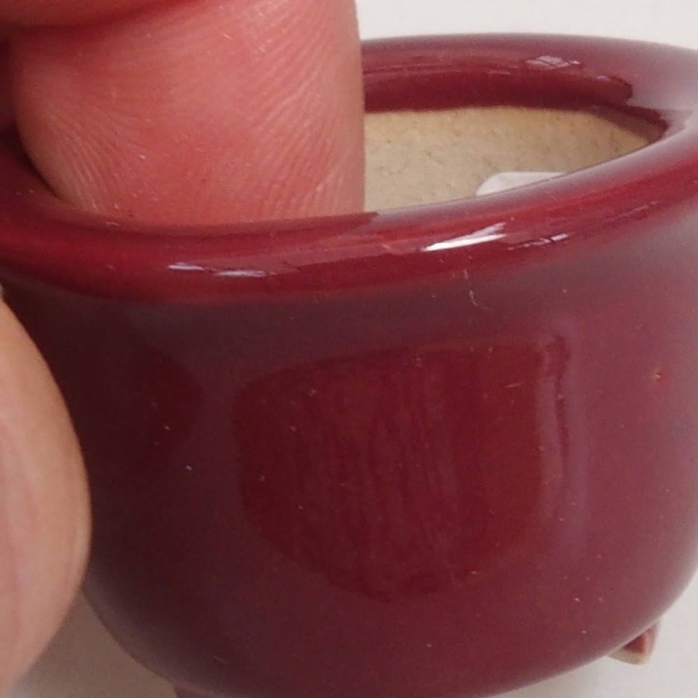 Mini bonsaischaal 3,5 x 3,5 x 2,5 cm, bordeauxrood