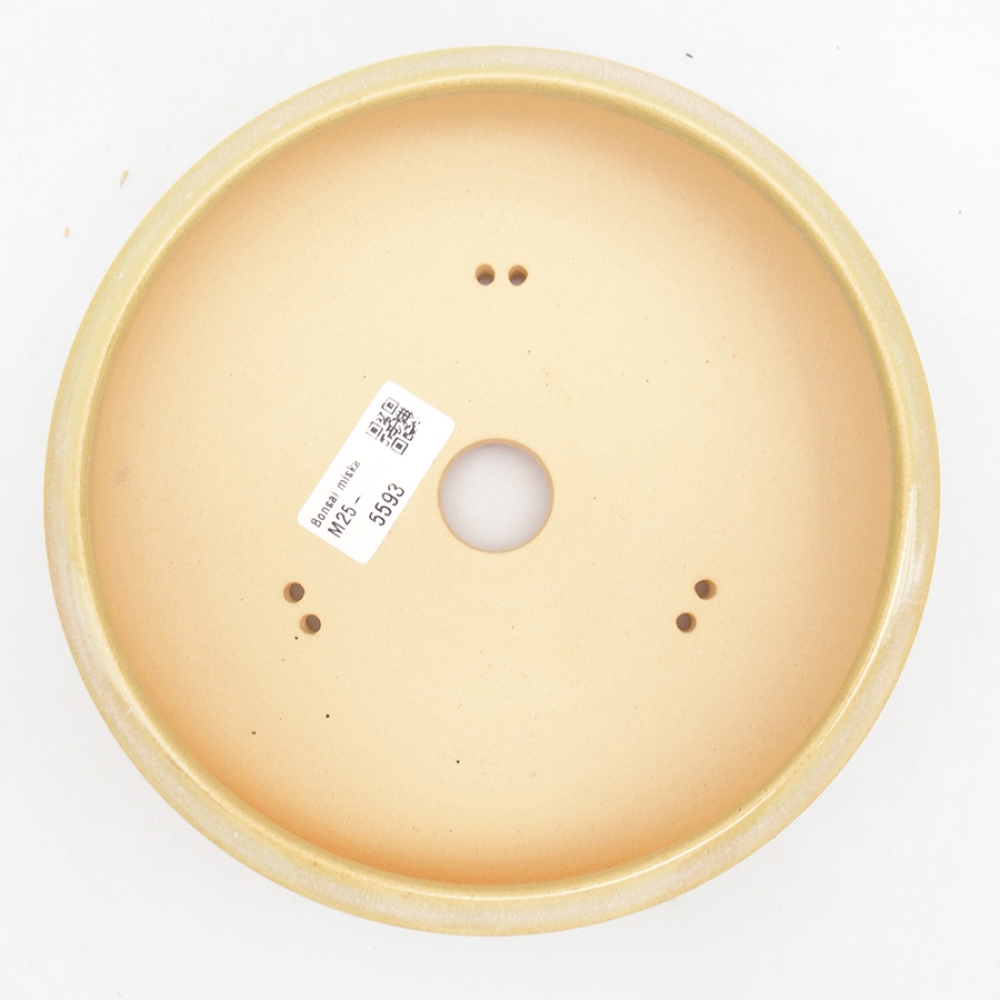 Bonsaischaal van keramiek 18,5 x 18,5 x 5,5 cm, groen