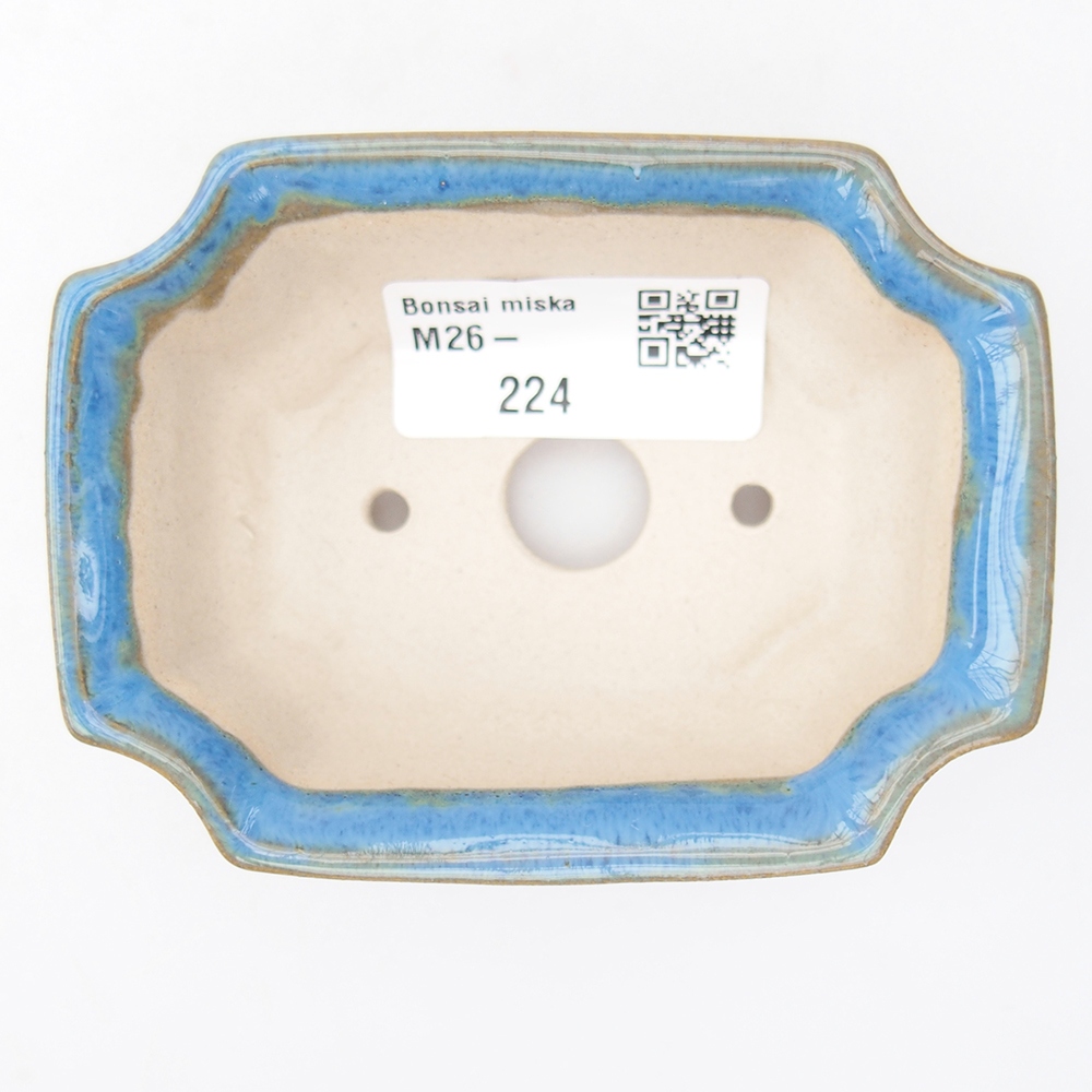 Mini bonsaischaal 9 x 6,5 x 3,5 cm, kleur blauw