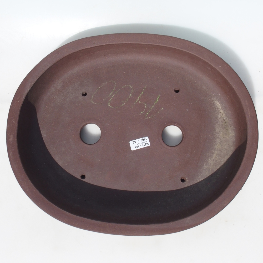 Bonsaischaal 49 x 40 x 9 cm - bruin