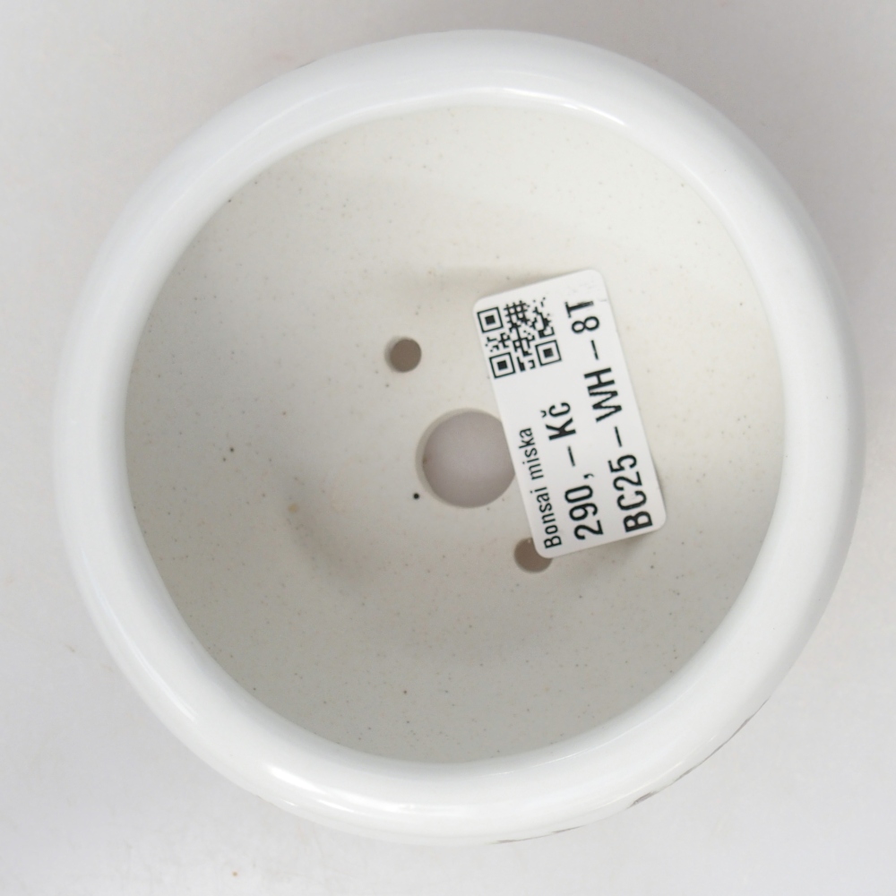 Bonsaischaal van keramiek 10 x 10 x 5 cm, kleur wit