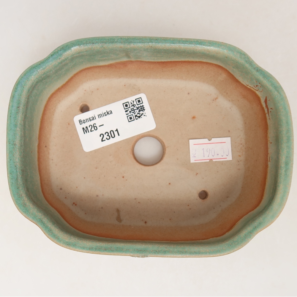 Keramische bonsaipot 12,5 x 10 x 4,5 cm, kleur groen
