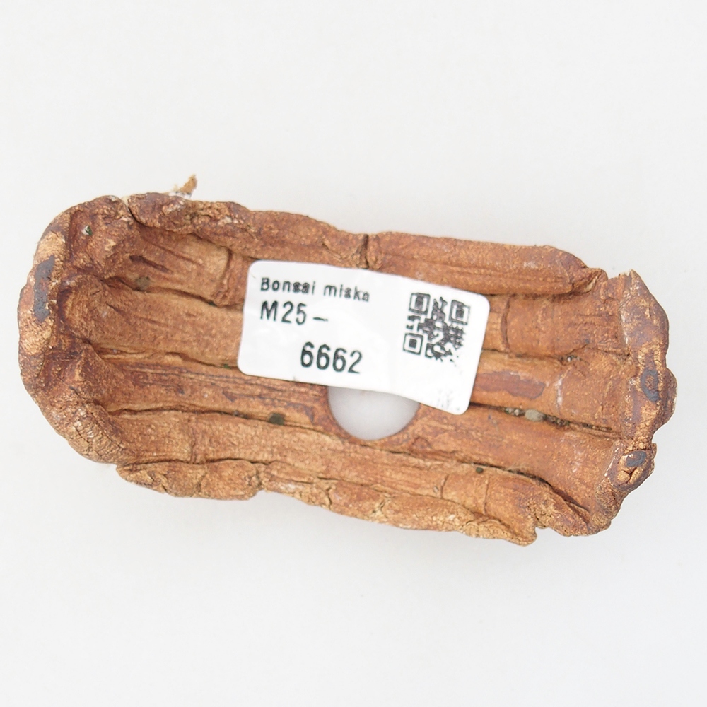 Keramisch Schelp 9 x 4,5 x 4,5 cm , kleur bruin