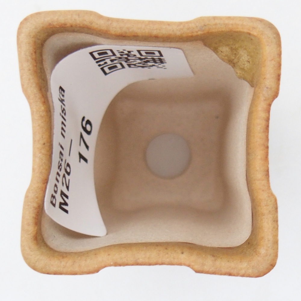 Mini bonsaischaal 3,5 x 3,5 x 5,5 cm, bruin