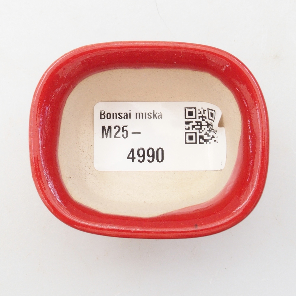 Mini bonsaischaal 6 x 4,5 x 3 cm, kleur rood
