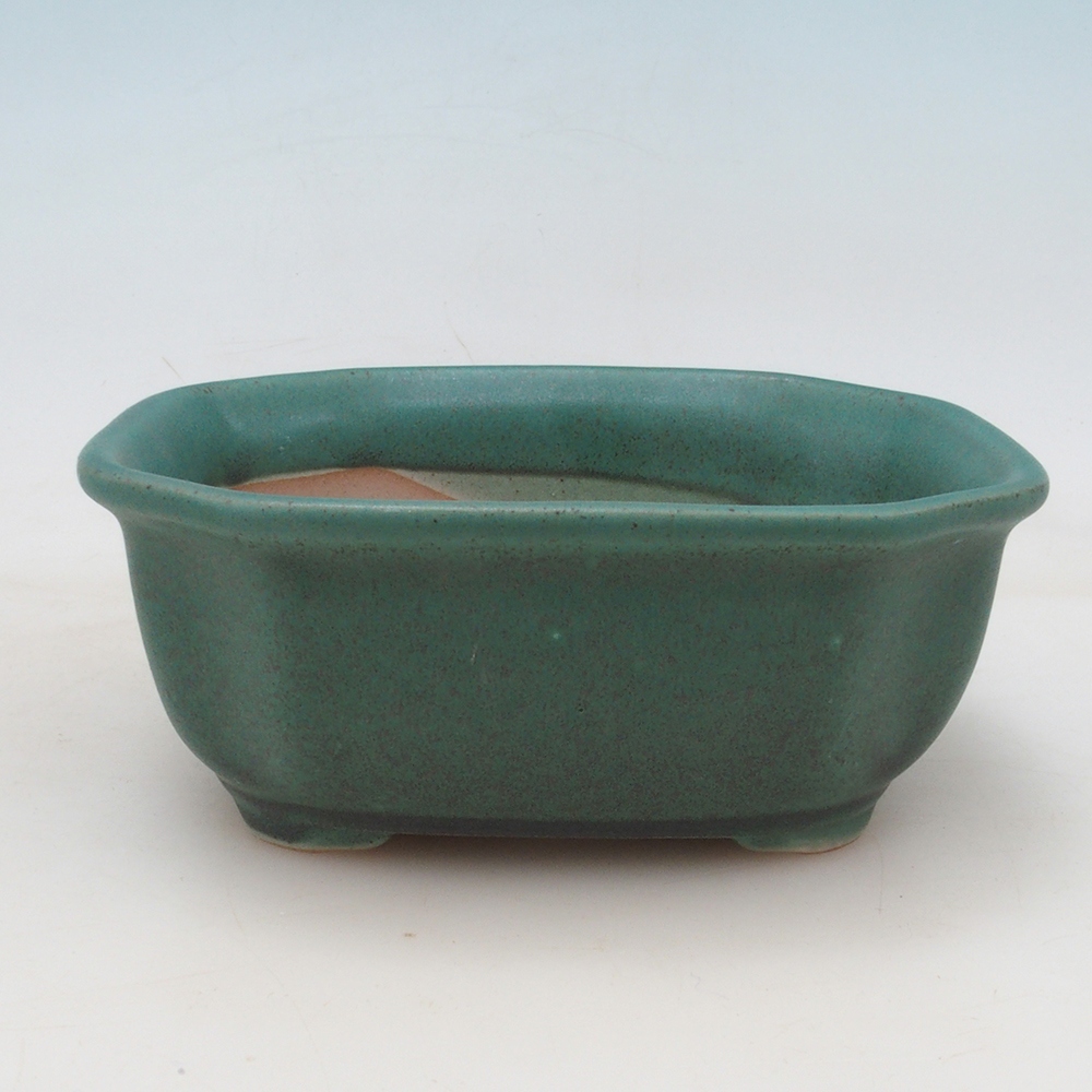 Bonsai kom H31 - 14 x 12 x 5,5 cm - groen