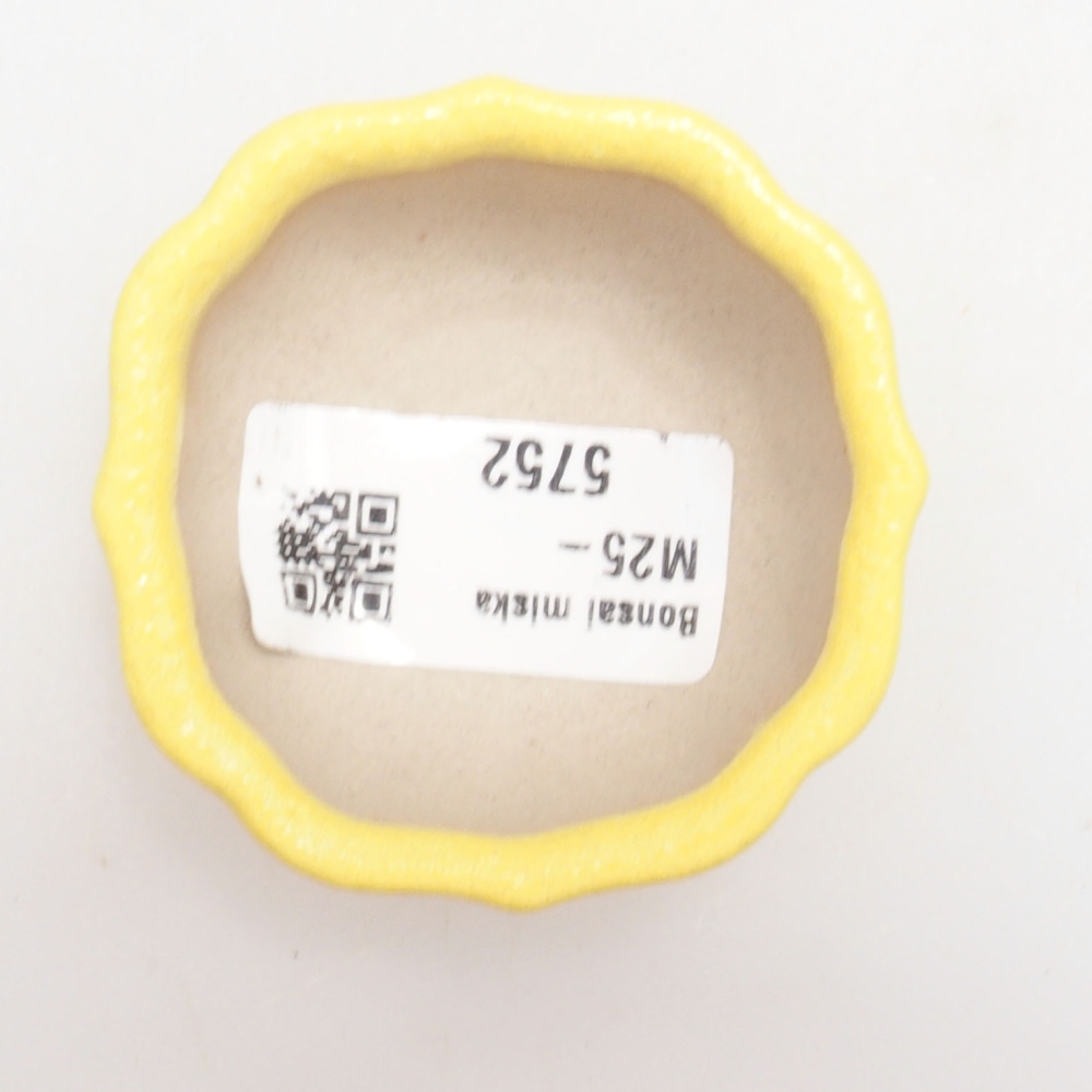 Bonsaischaal van keramiek 5,5 x 5,5 x 3 cm, geel