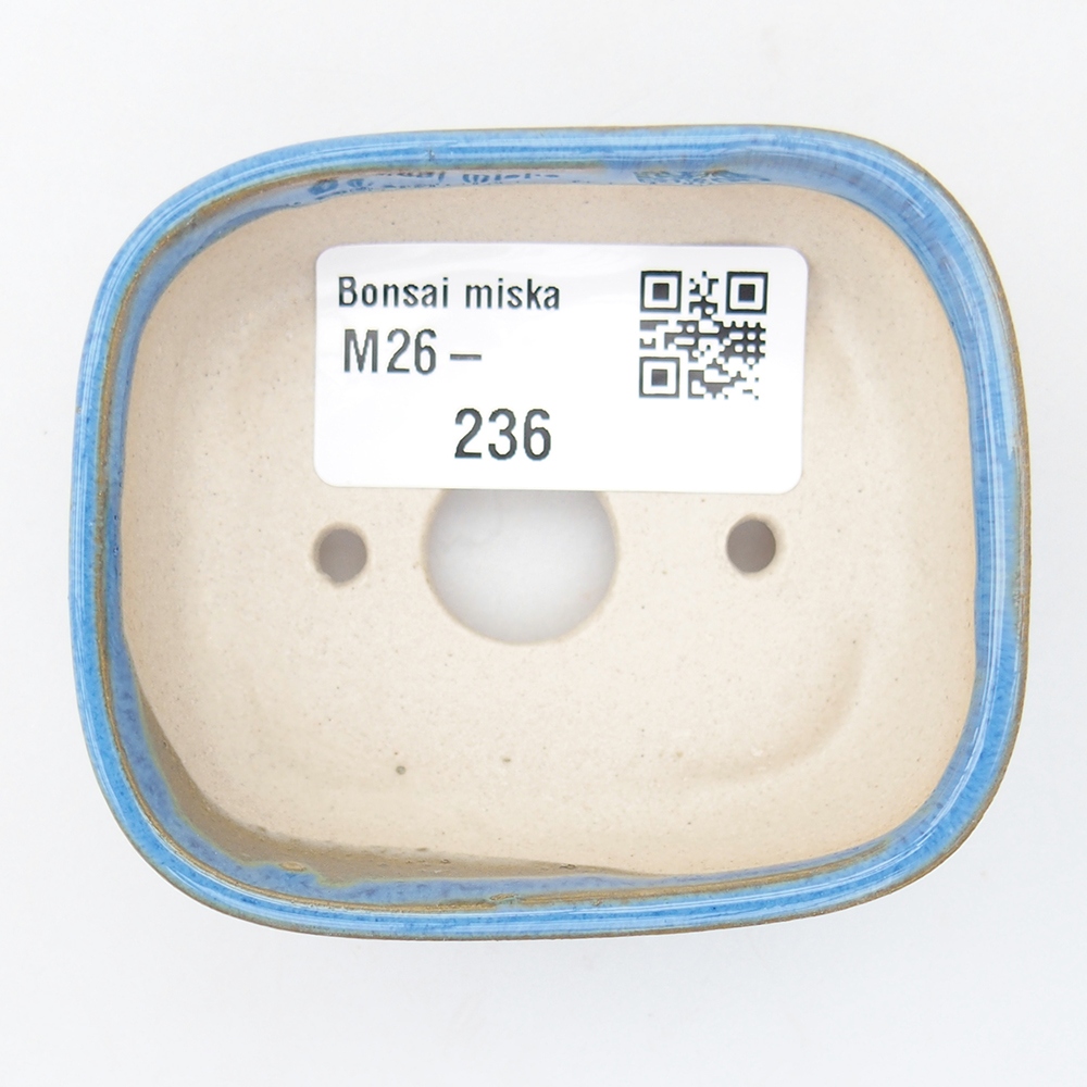 Mini bonsaischaal 7 x 6 x 2,5 cm, kleur blauw