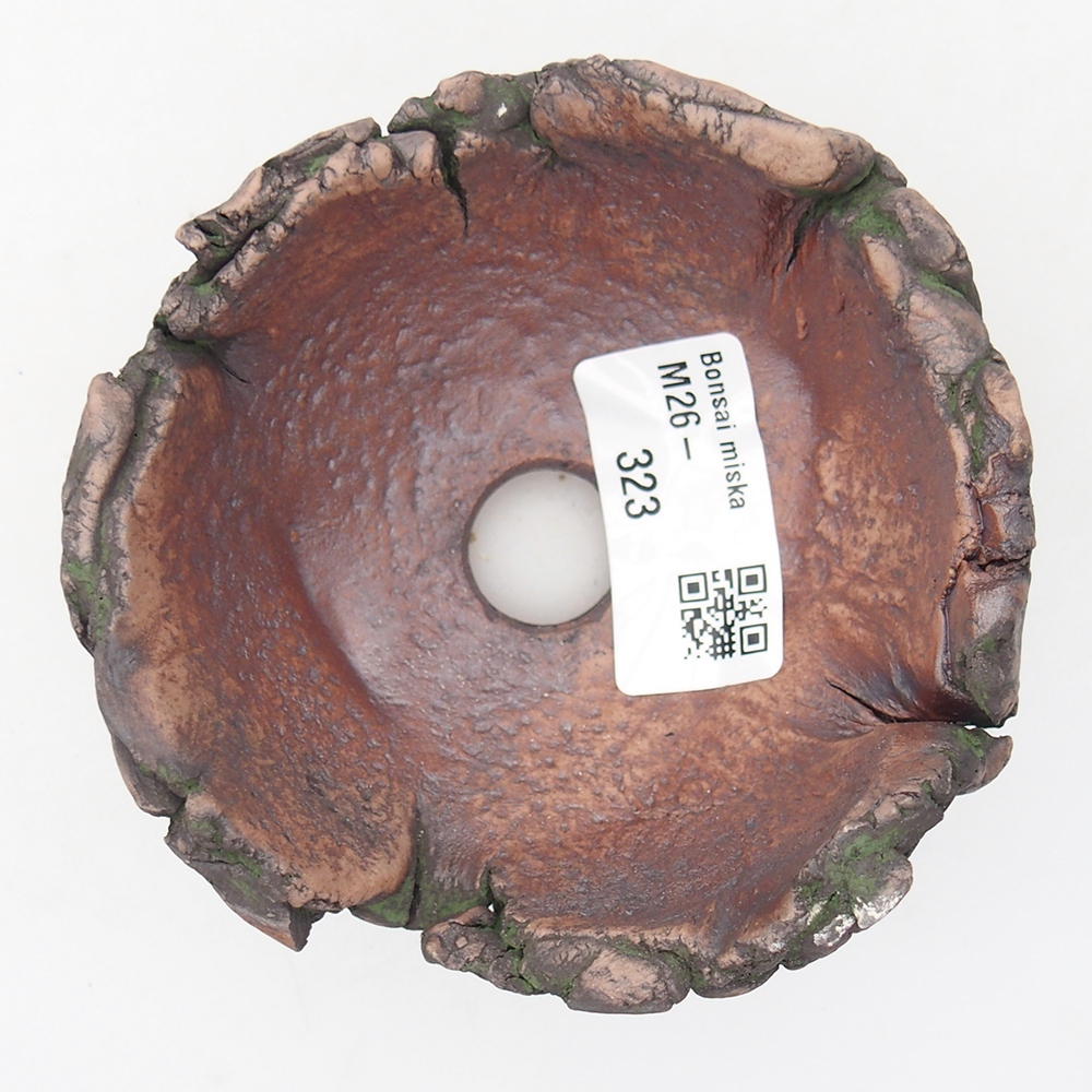 Schelp van keramiek 9,5 x 9,5 x 6 cm , kleur groen