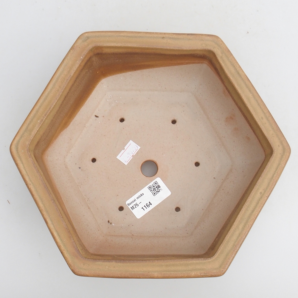 Bonsaischaal van keramiek 23 x 21 x 7,5 cm, kleur beige