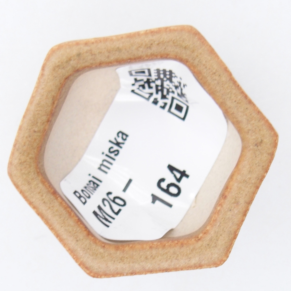 Mini bonsaischaal 4 x 3,5 x 2 cm, bruin