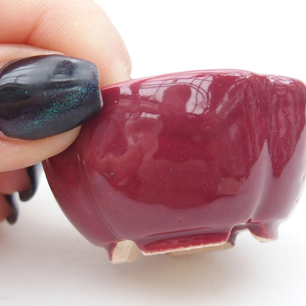 Mini bonsaischaal 4 x 4 x 2 cm, bordeauxrood