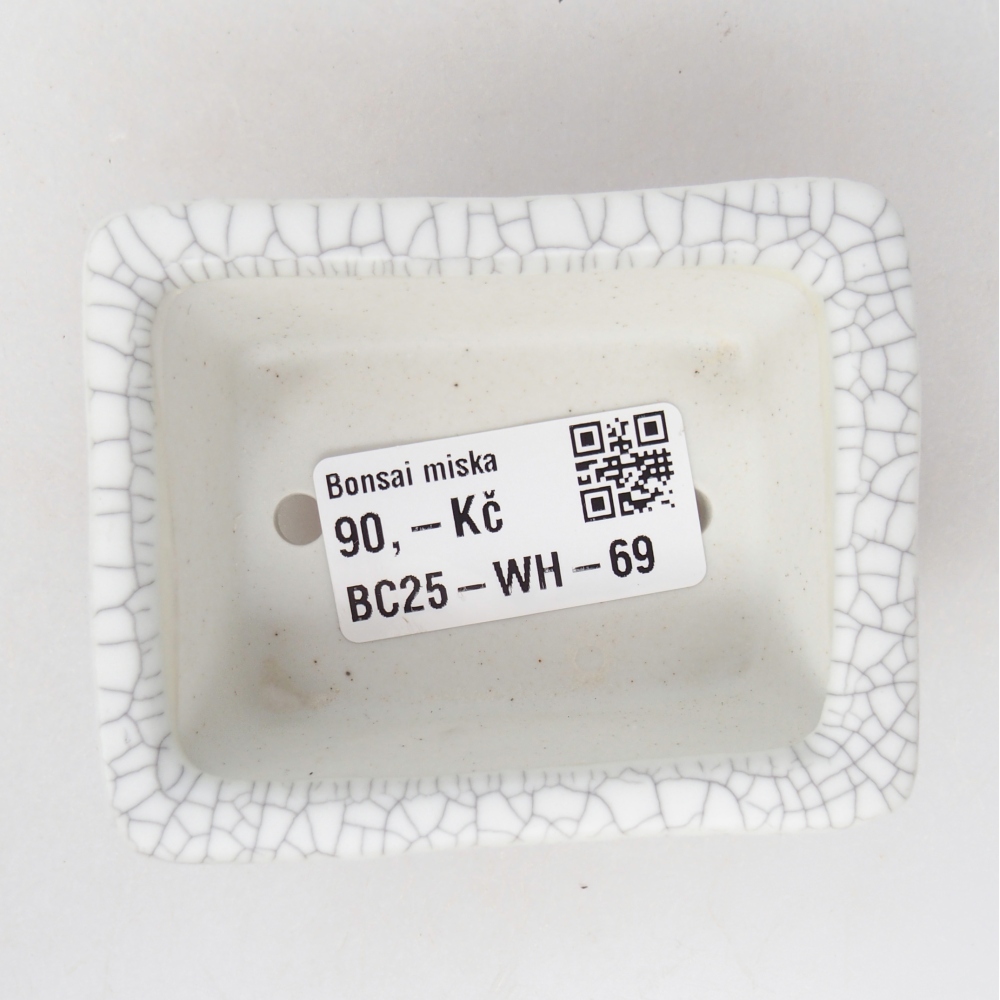 Mini bonsaischaal 8 x 6,5 x 3,5 cm, raku kleur