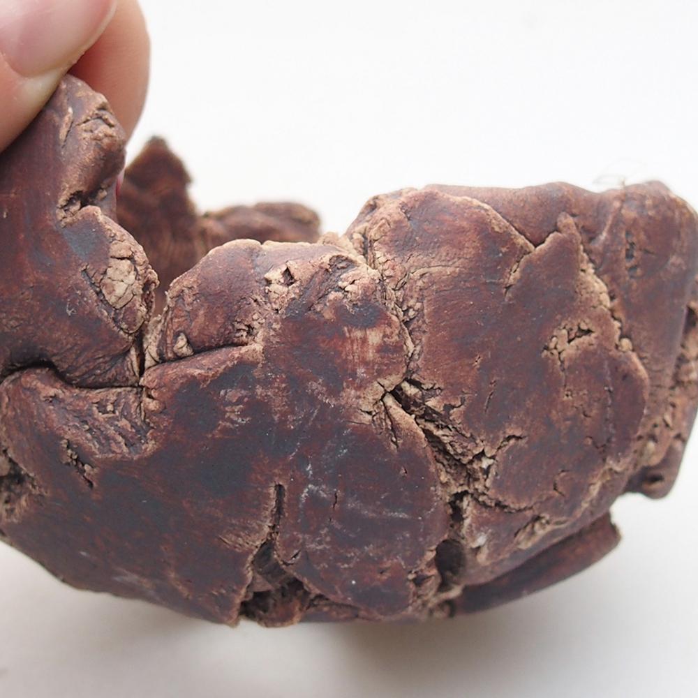 Keramisch Schelp 9 x 8,5 x 6 cm , kleur bruin