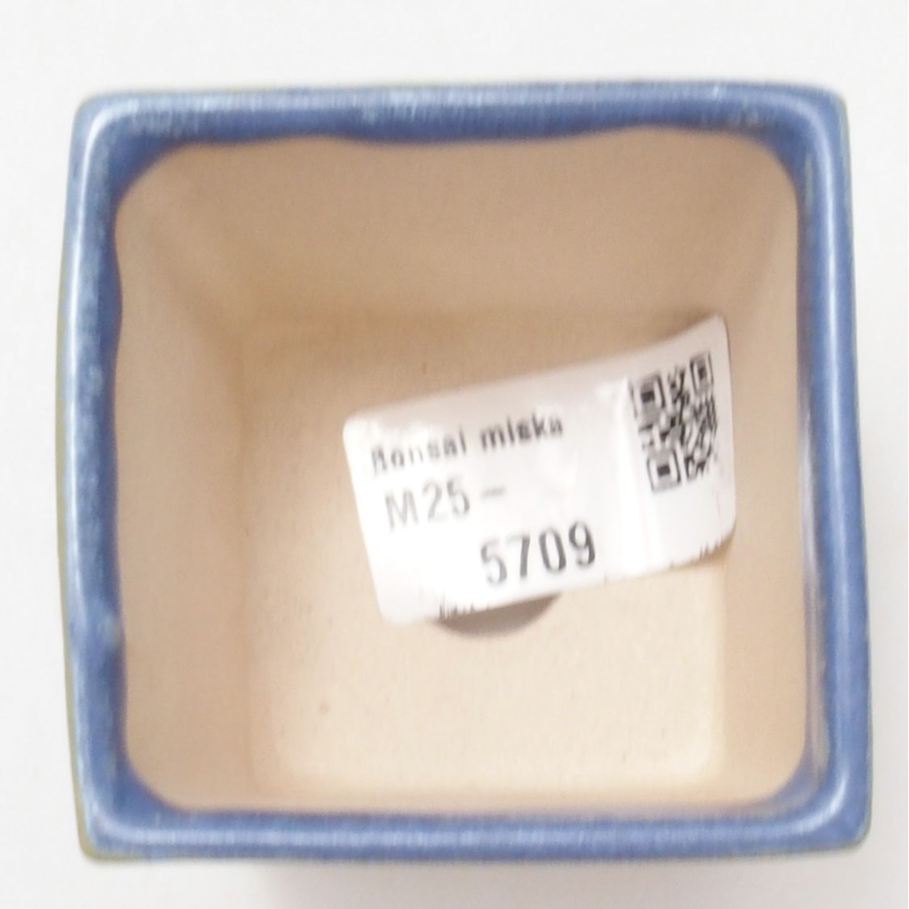 Mini bonsaischaal 5,5 x 5,5 x 6,5 cm, kleur blauw