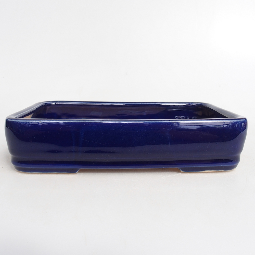 Bonsaischaal van keramiek 18 x 13 x 4 cm, kleur blauw