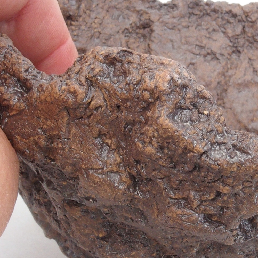 Keramisch Schelp 13 x 10,5 x 12,5 cm , kleur bruin