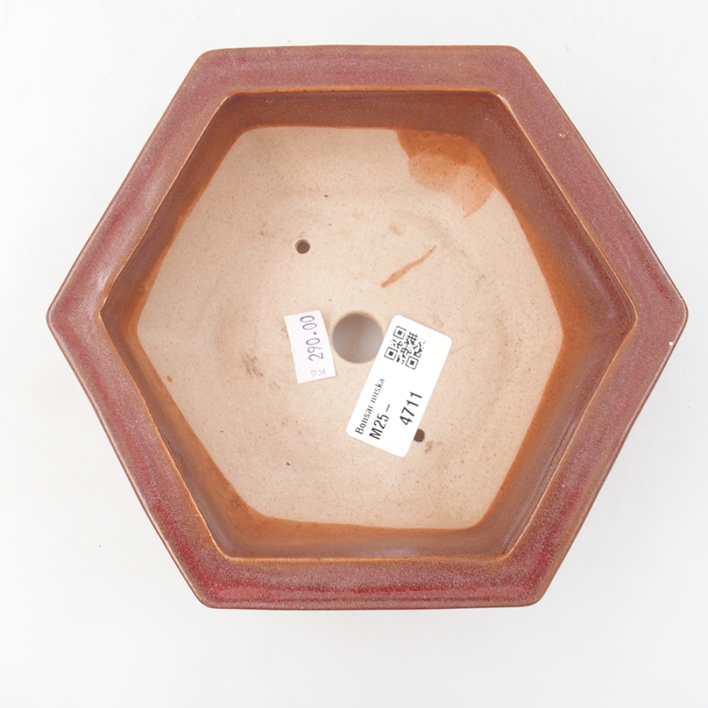Bonsaischaal van keramiek 14 x 11 x 4 cm, bordeauxrood