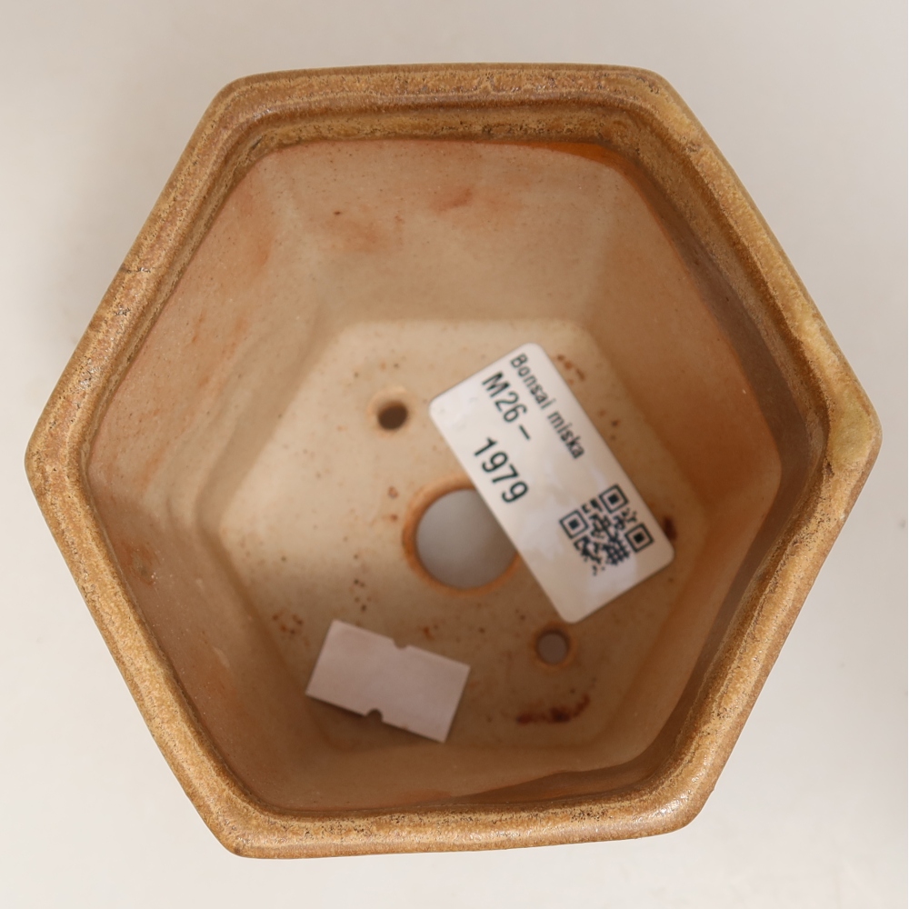 Keramische bonsaischaal 9 x 8,5 x 8 cm, kleur: beige