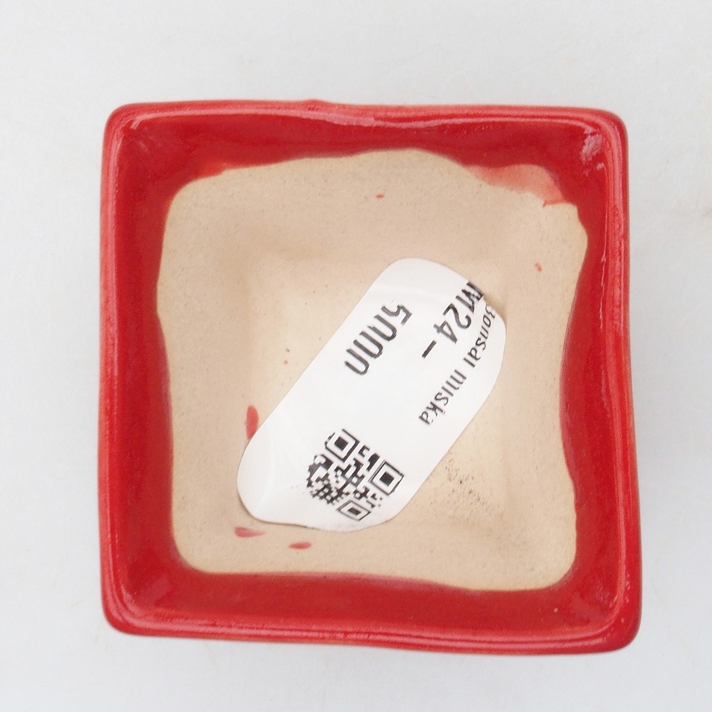 Mini bonsaischaal 5,5 x 5,5 x 3,5 cm, kleur rood