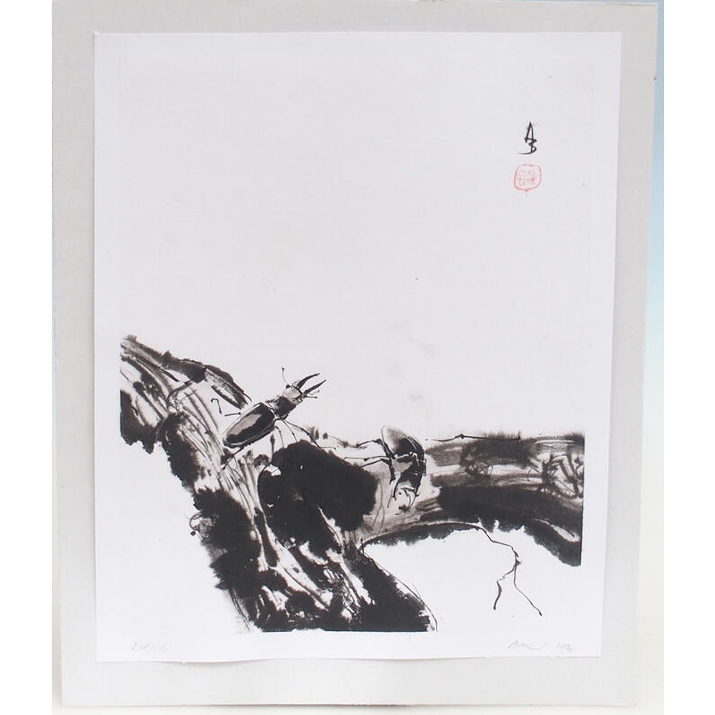 Kalligrafie - Roháči