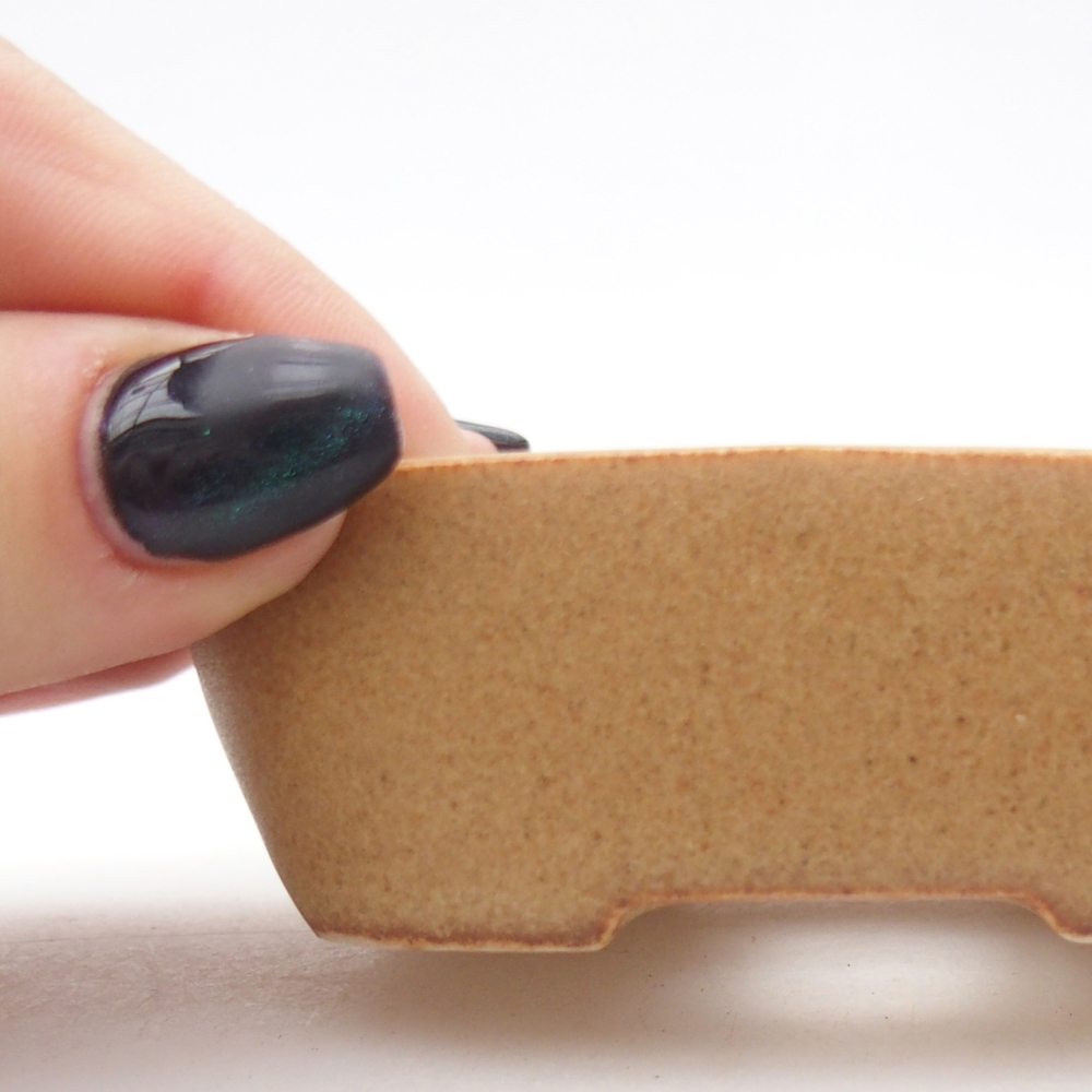 Mini bonsaischaal 8,5 x 6 x 2,5 cm, bruin