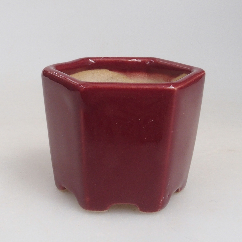 Mini bonsaischaal 4 x 4 x 3,5 cm, bordeauxrood