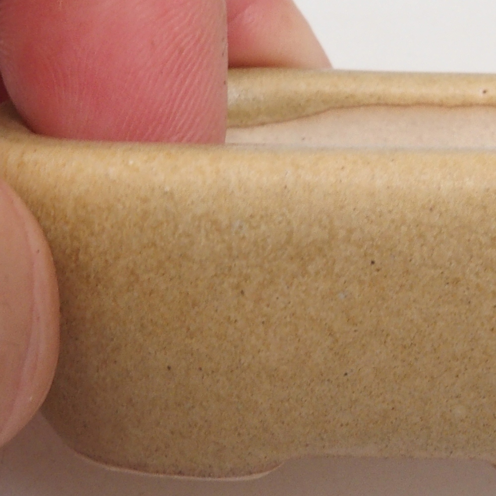 Mini bonsaischaal 5,5 x 4 x 2 cm, bruin