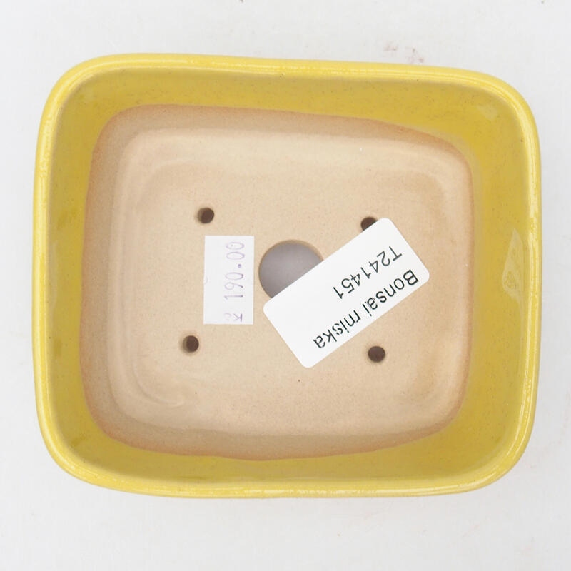 Bonsaischaal van keramiek 10,5 x 9 x 4 cm, geel