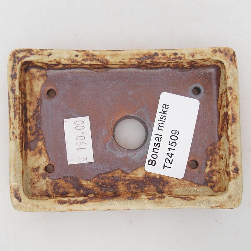 Bonsaischaal van keramiek 10 x 7 x 2 cm, kleur beige