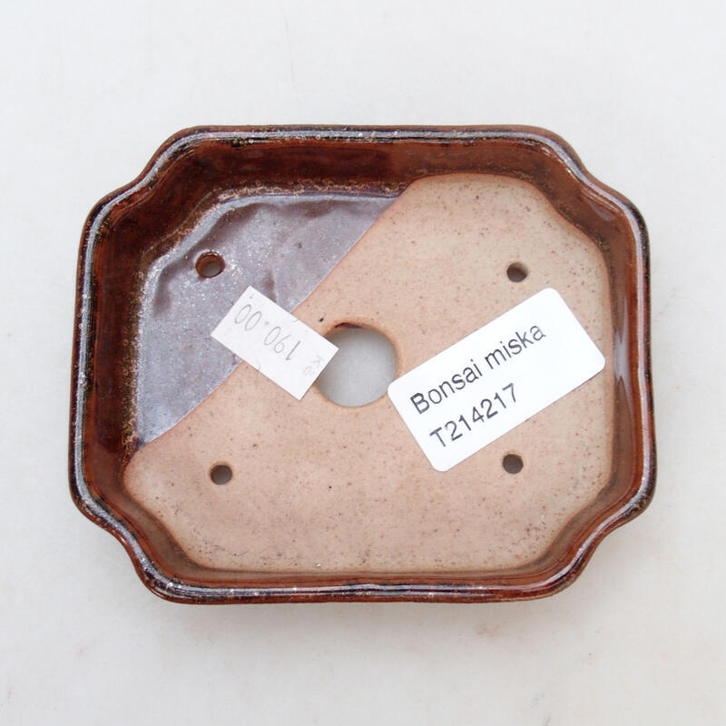 Bonsaischaal van keramiek 10 x 8,5 x 2 cm, bruin