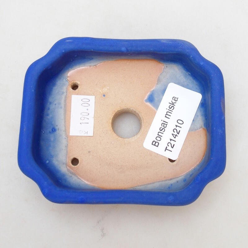 Bonsaischaal van keramiek 10 x 8 x 2,5 cm, kleur blauw
