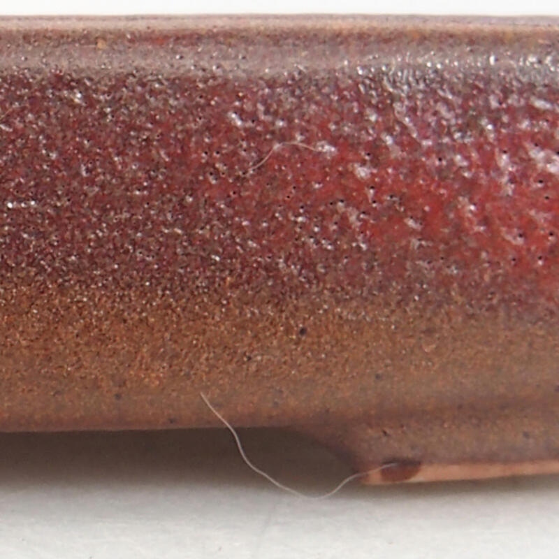 Bonsaischaal van keramiek 10 x 8 x 2 cm, bordeauxrood
