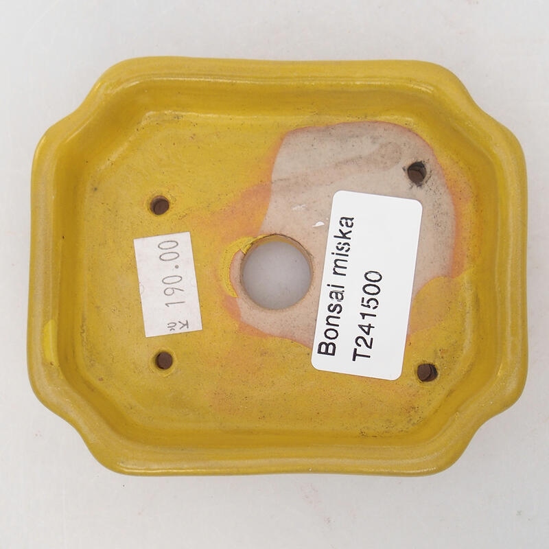 Bonsaischaal van keramiek 10 x 8 x 2 cm, geel
