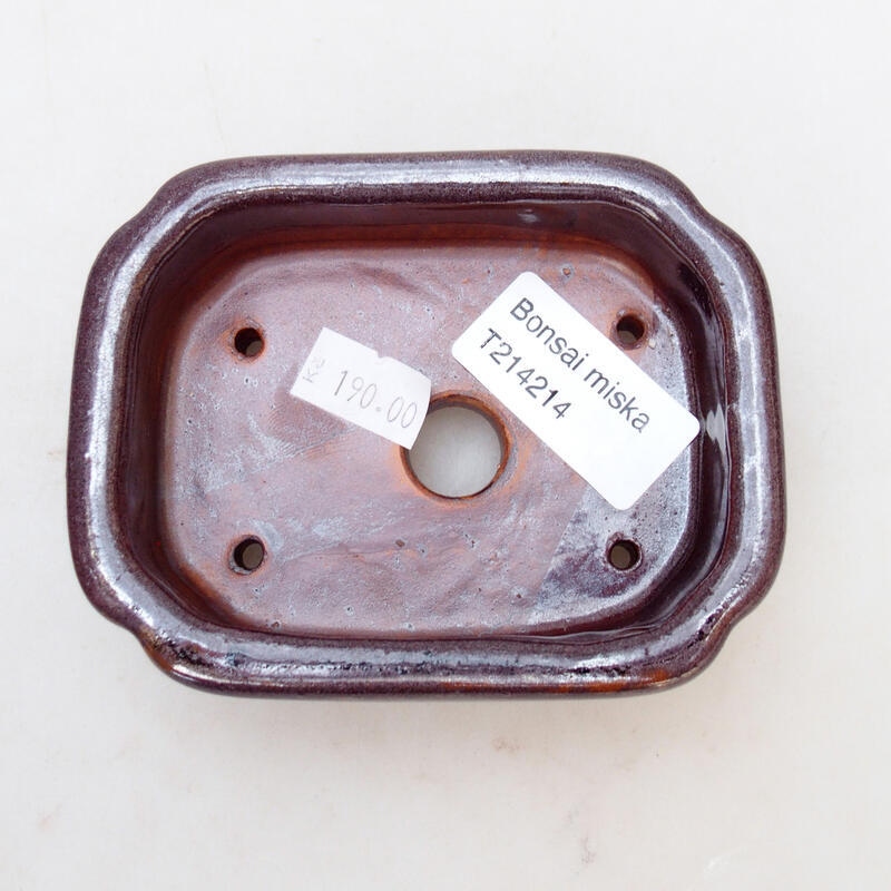 Bonsaischaal van keramiek 10 x 8 x 3,5 cm, bruin