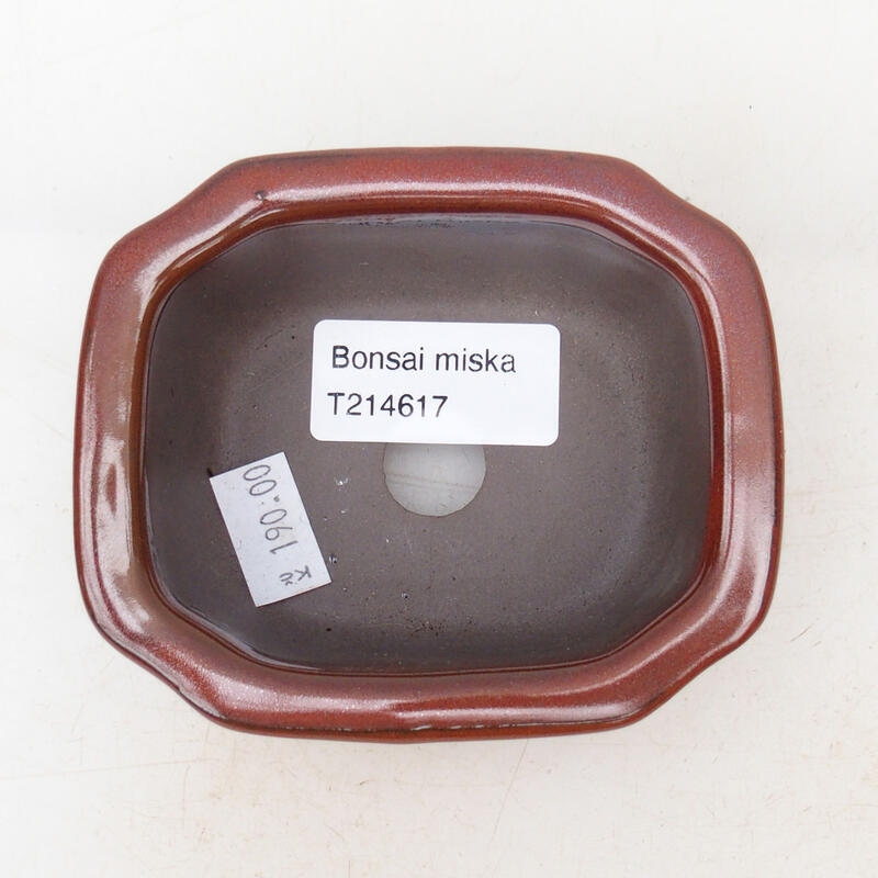 Bonsaischaal van keramiek 10 x 8 x 4 cm, bruin