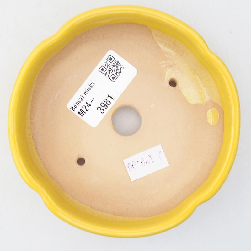 Bonsaischaal van keramiek 11 x 11 x 3 cm, geel